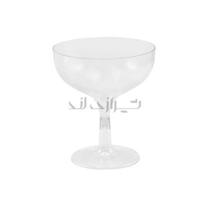 جام روژین 300