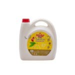 مایع ظرفشویی 4 لیتری بوژنه