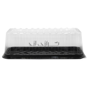 ظرف کیک رولتی خوزستان