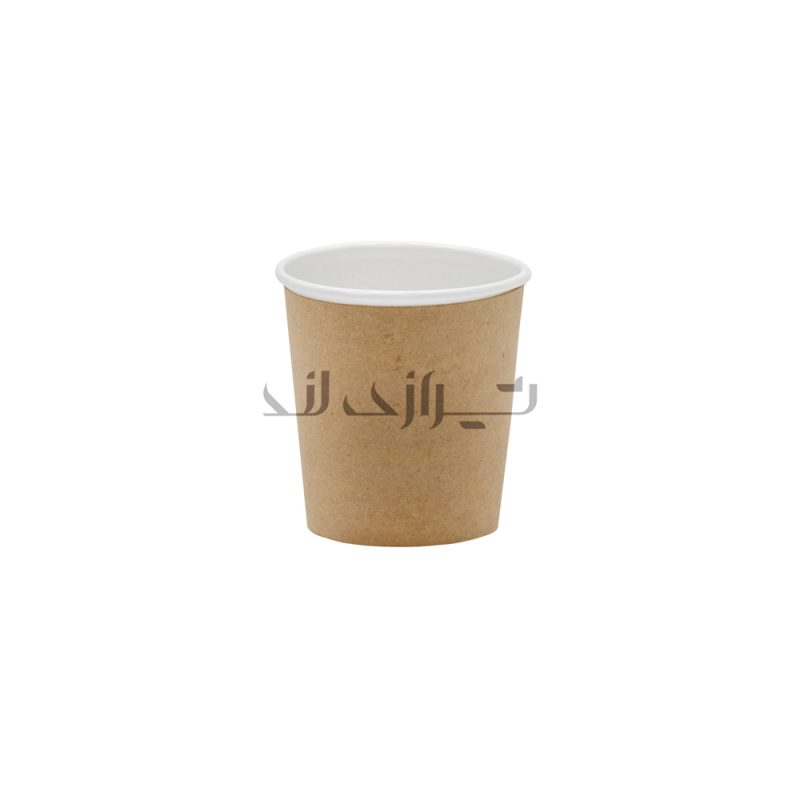 لیوان کرافت سه جداره 120